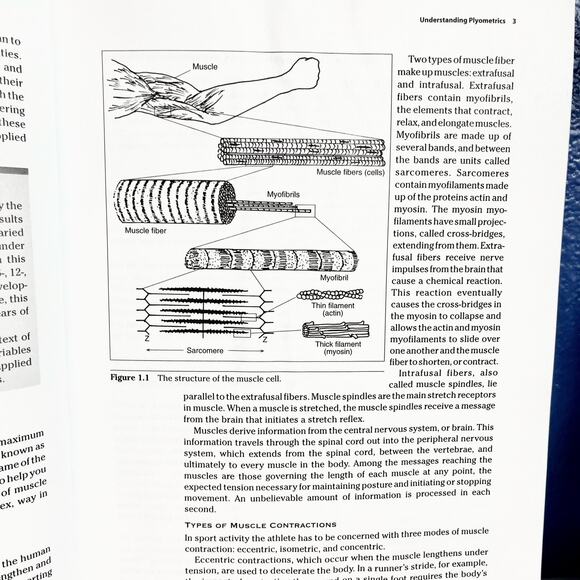 Jumping into Plyometrics, 2nd Edition Book by Donald A. Chu - Picture 7 of 8